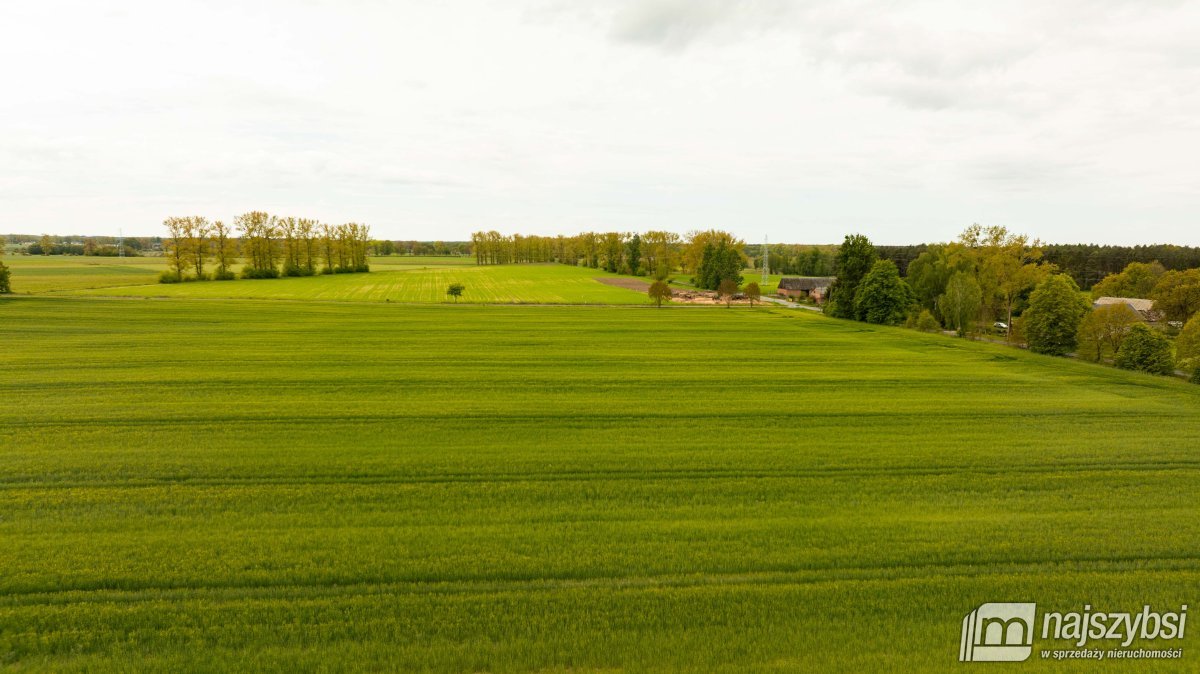 Dąbrowa Nowogardzka-działki z warunkami zabudowy  (16)