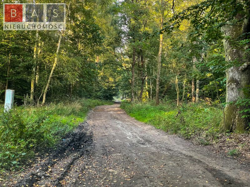 Działka z pozwoleniem na budowę w sąsiedztwie WPN (5)
