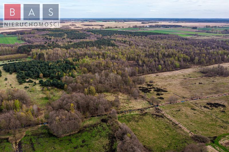 Działka leśna w Kukułowie gm. Kamień Pomorski (2)