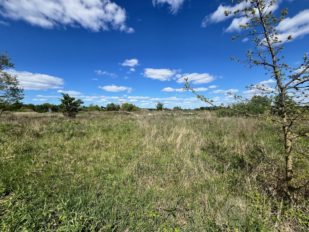 Działki Czarna Łąka tylko 25 minut od Szczecina! (1)