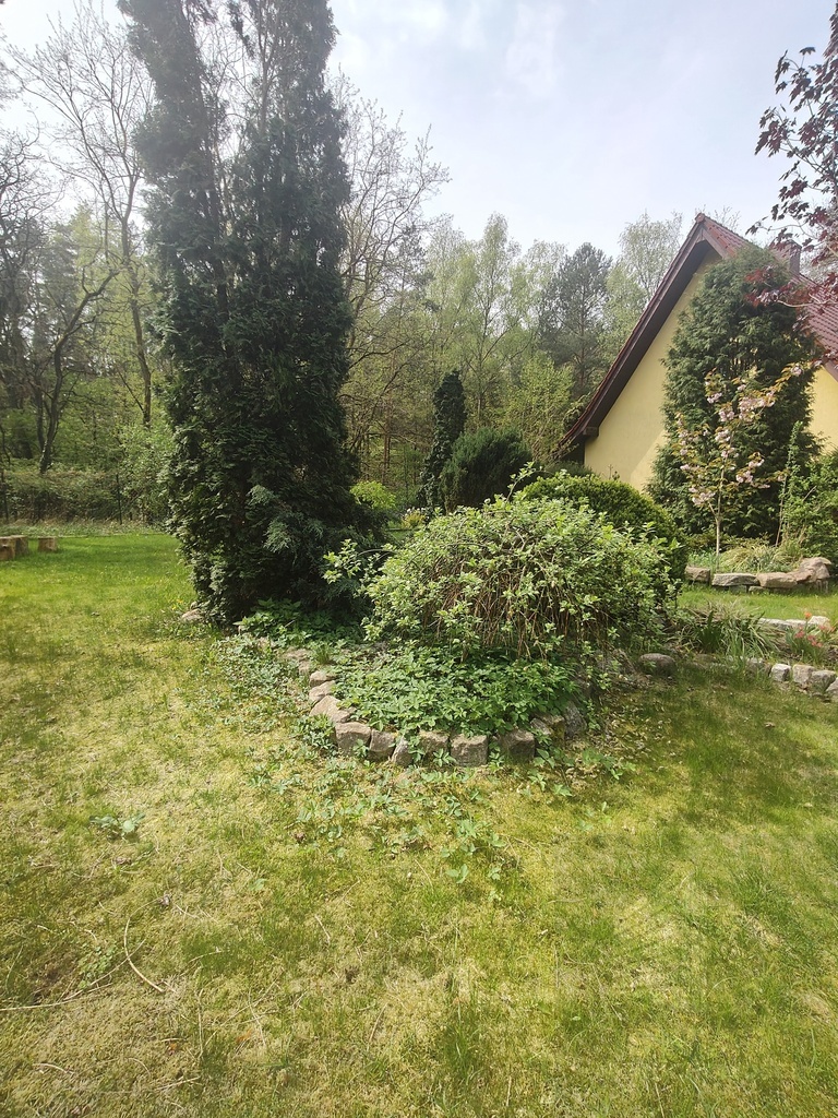 DOM WOLNOSTOJĄCY W UROKLIWYM MIEJSCU. (13)