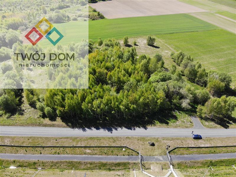 Działka - Stare Bielice  (5)