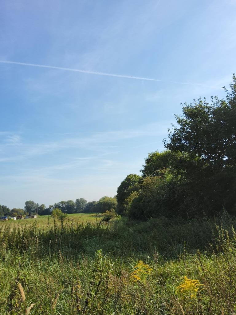 Ok 800m2 działki w Buku (1)