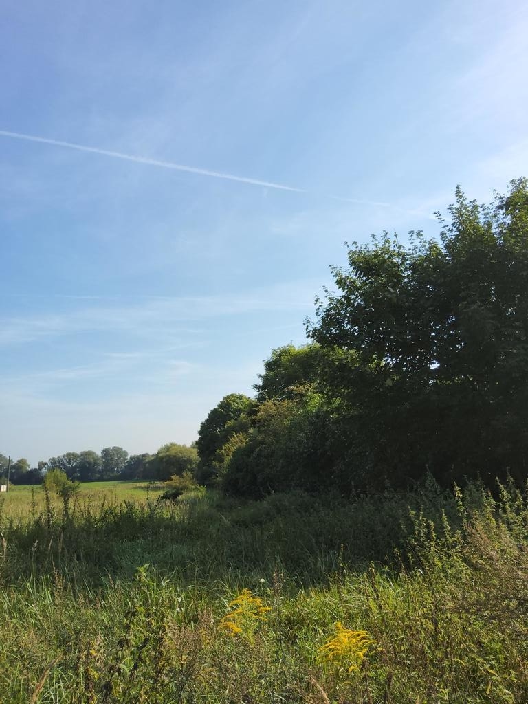 Ok 800m2 działki w Buku (3)