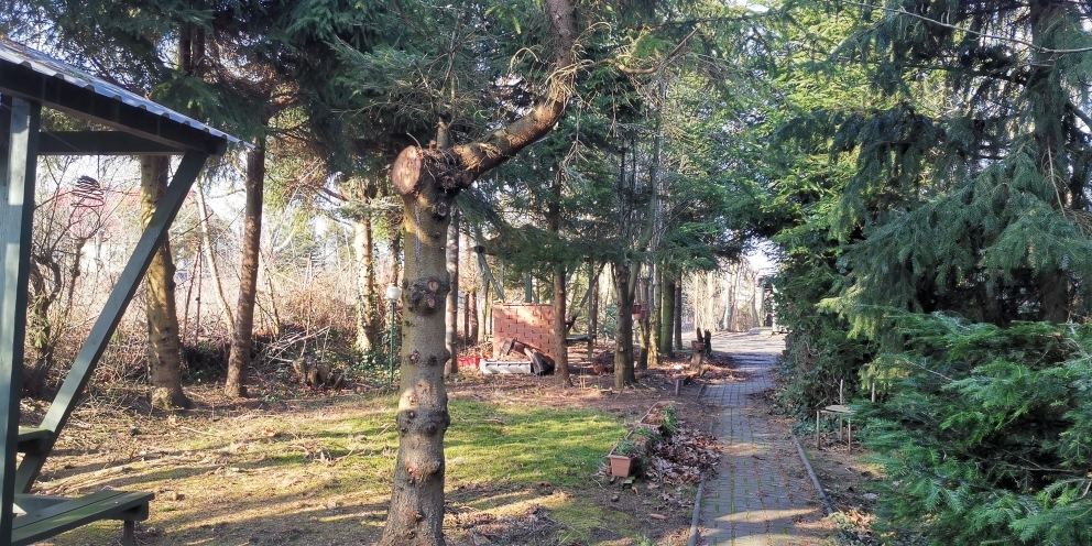 Budowlana, 2,313 m2, Rusinowo  (1)