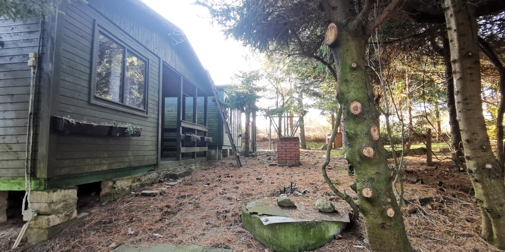 Budowlana, 2,313 m2, Rusinowo  (8)