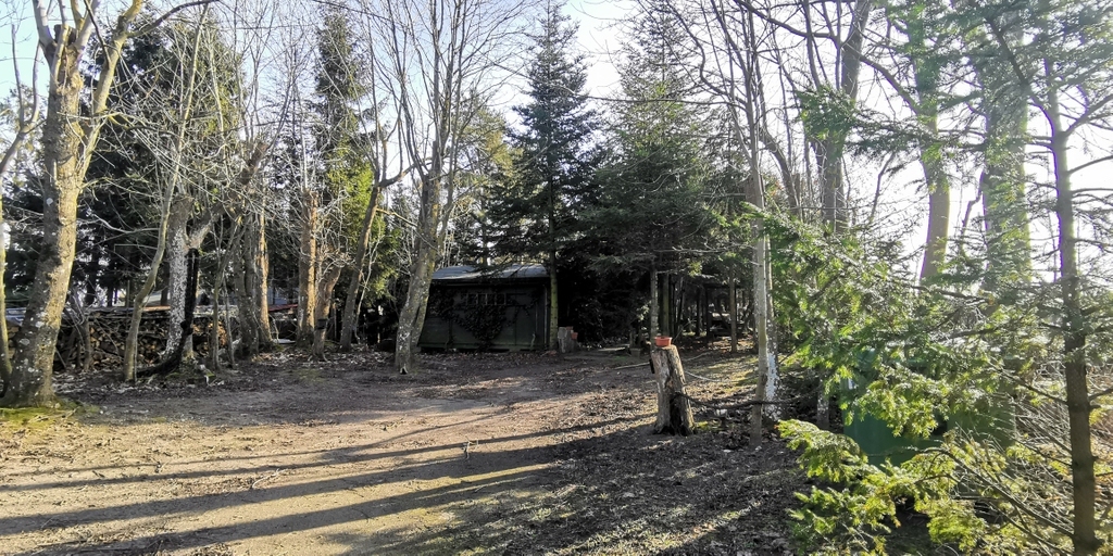 Budowlana, 2,313 m2, Rusinowo  (10)