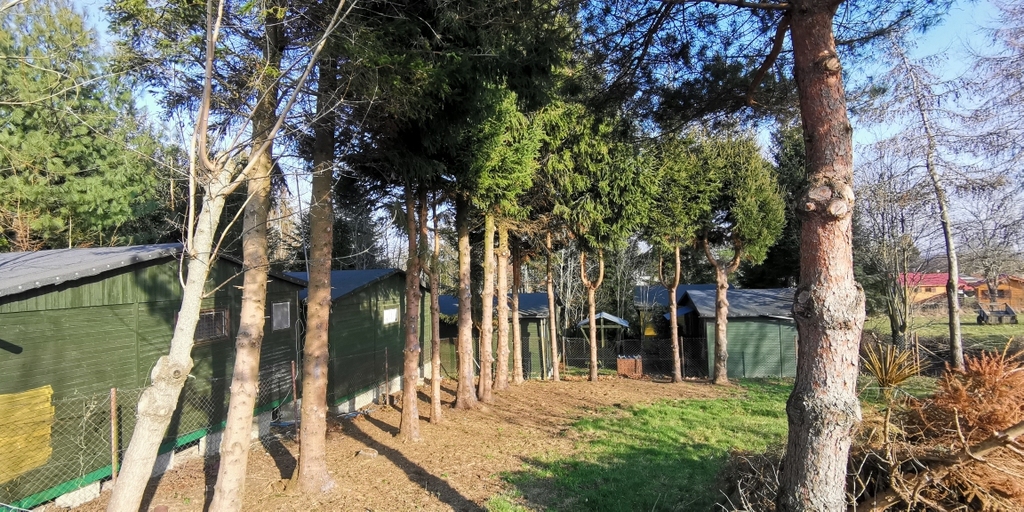 Budowlana, 2,313 m2, Rusinowo  (11)