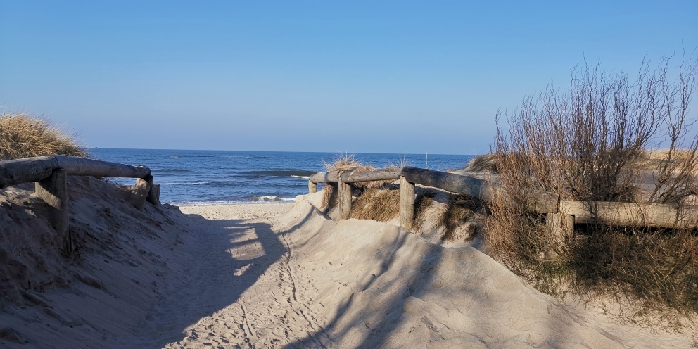 Budowlana, 2,313 m2, Rusinowo  (14)