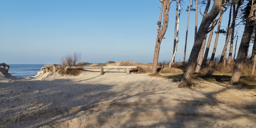 Budowlana, 2,313 m2, Rusinowo  (15)