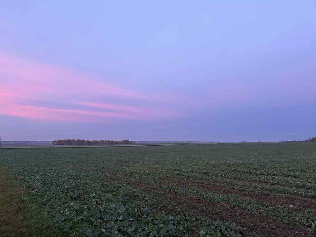 Na sprzedaż *ziemia rolna *Banie (1)