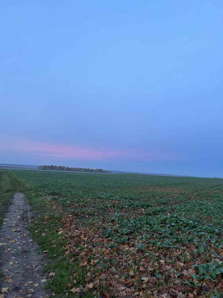 Na sprzedaż *ziemia rolna *Banie (2)