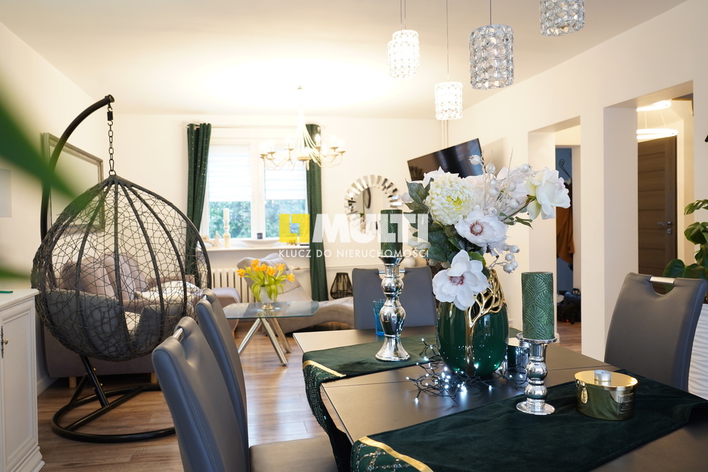 Urokliwy bliźniak w wysokim standardzie (1)