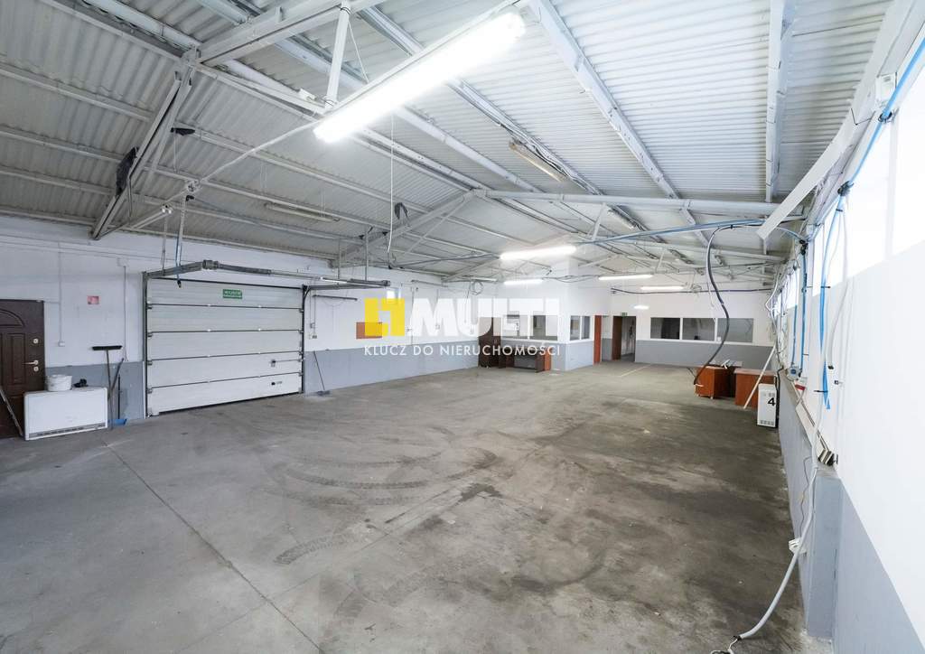 Hala na Pogodnie (5)