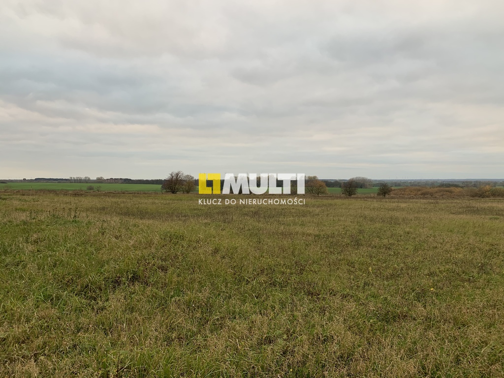 Działka z potencjałem w Bobolinie (3)