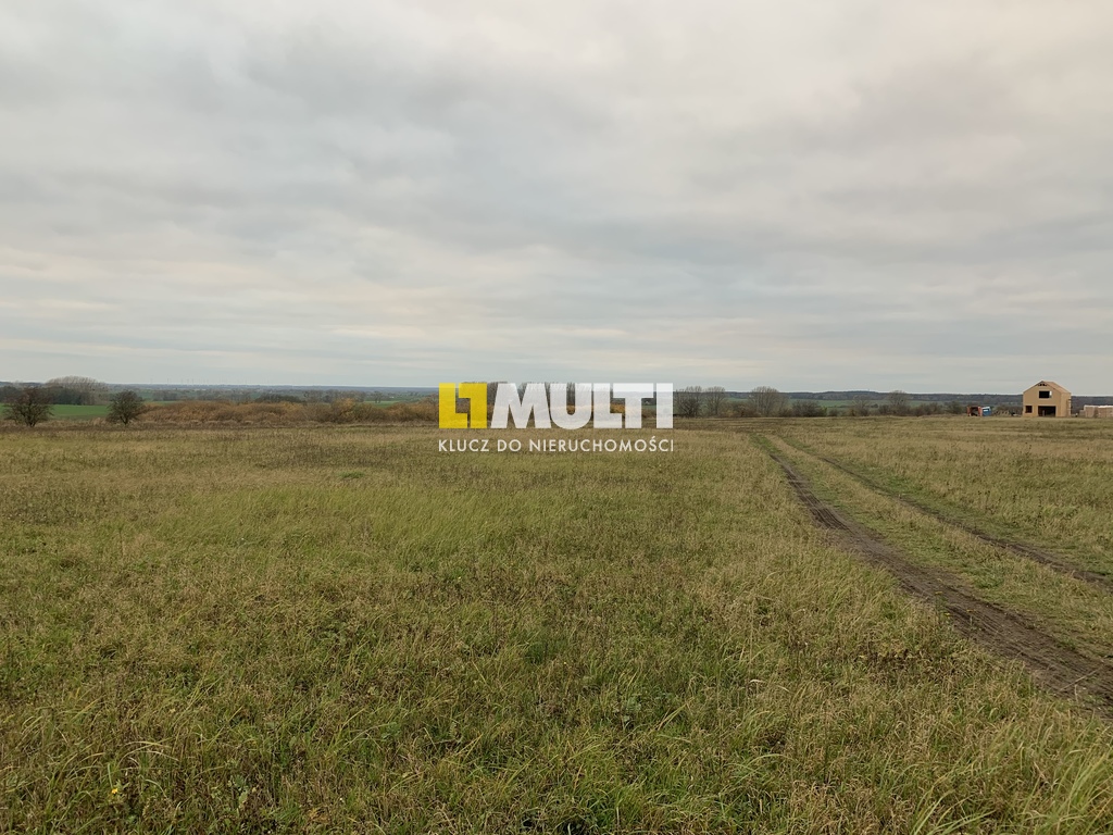 Działka z potencjałem w Bobolinie (5)