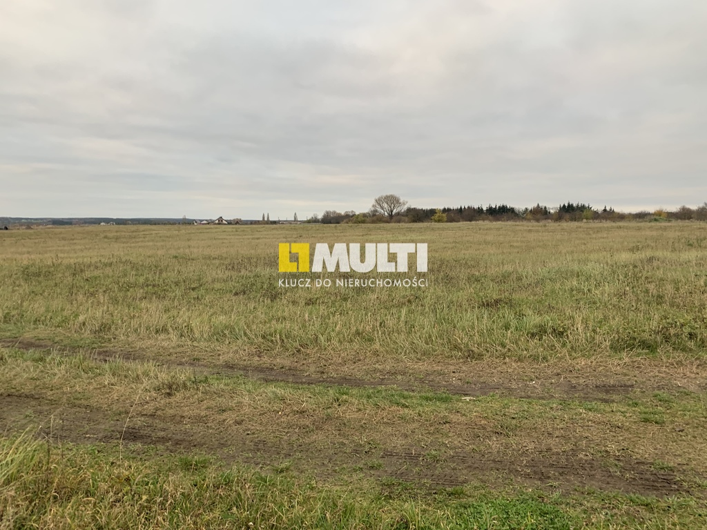 Działka z potencjałem w Bobolinie (6)