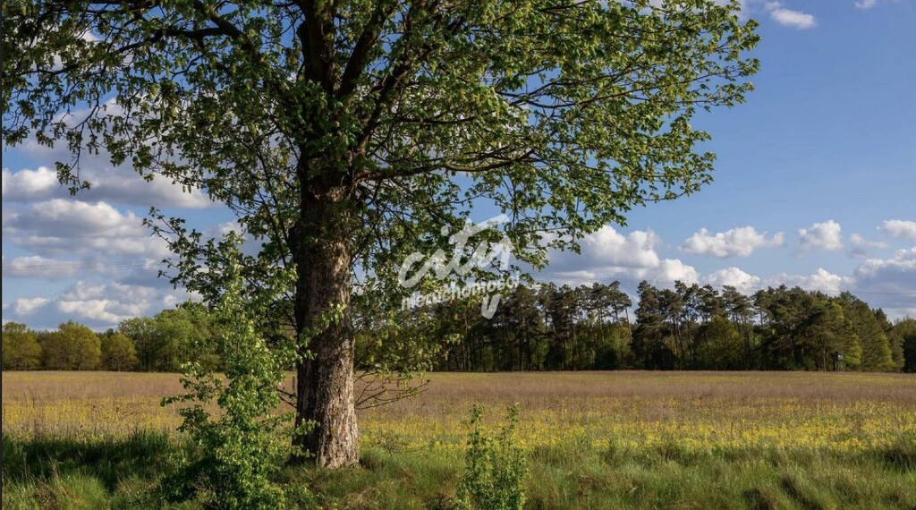 Atrakcyjne działki budowlane w otoczeniu jezior! (1)