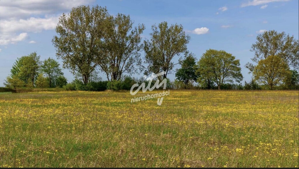 Atrakcyjne działki budowlane w otoczeniu jezior! (2)