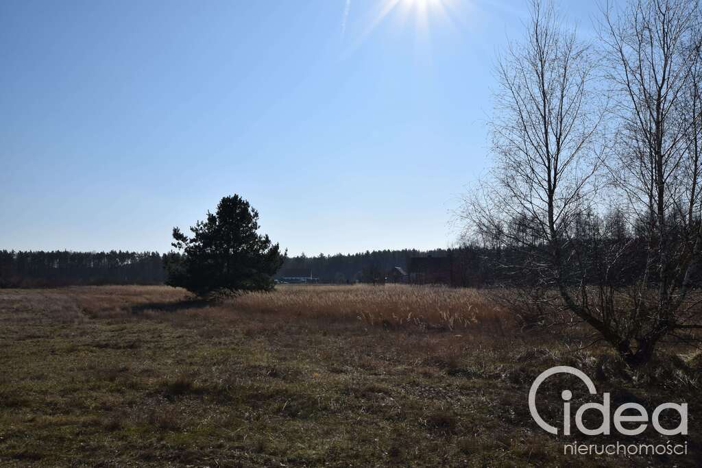 3 działki Nowe osiedle nad jeziorem  Drezedenko (4)