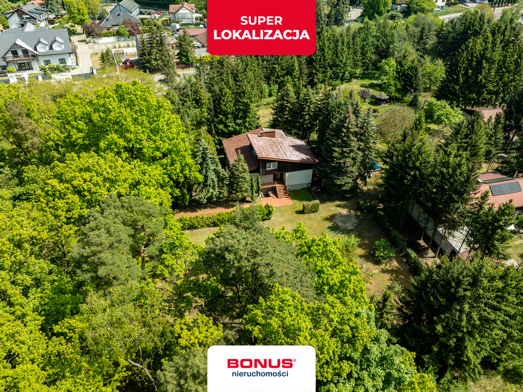 Dom w otulinie lasu (1)