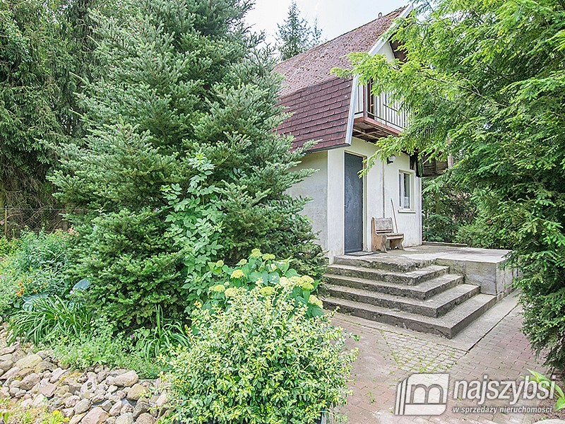 Duży dom z halą (24)