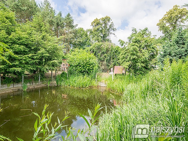 Duży dom z halą (26)