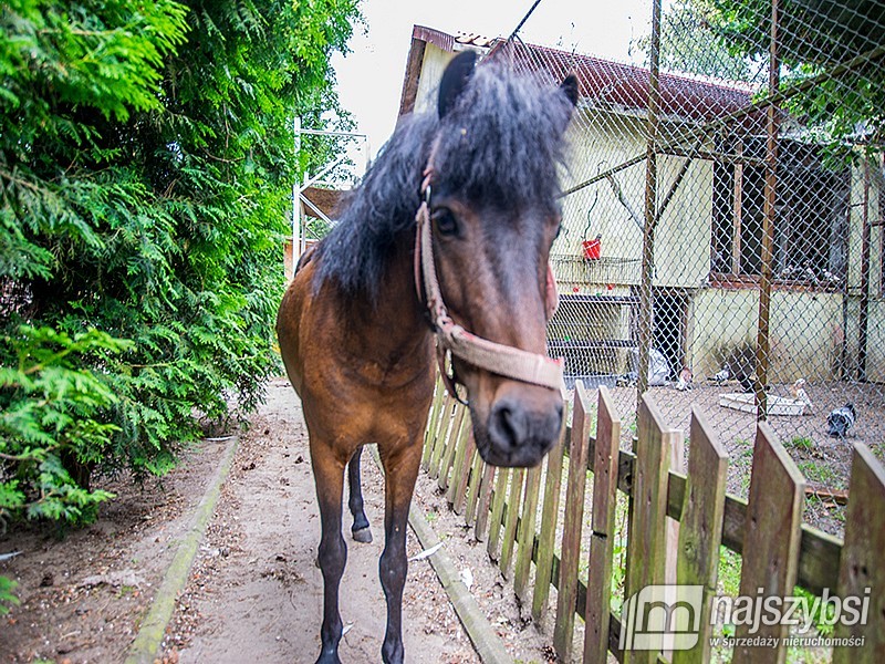 Duży dom z halą (29)