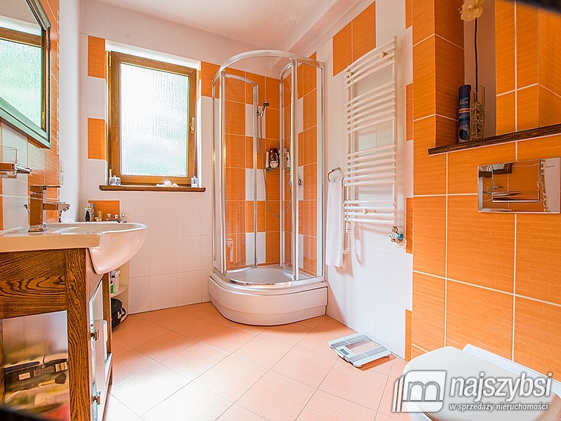 Duży dom z halą (3)