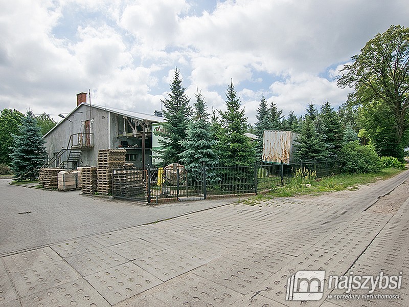 Duży dom z halą (34)