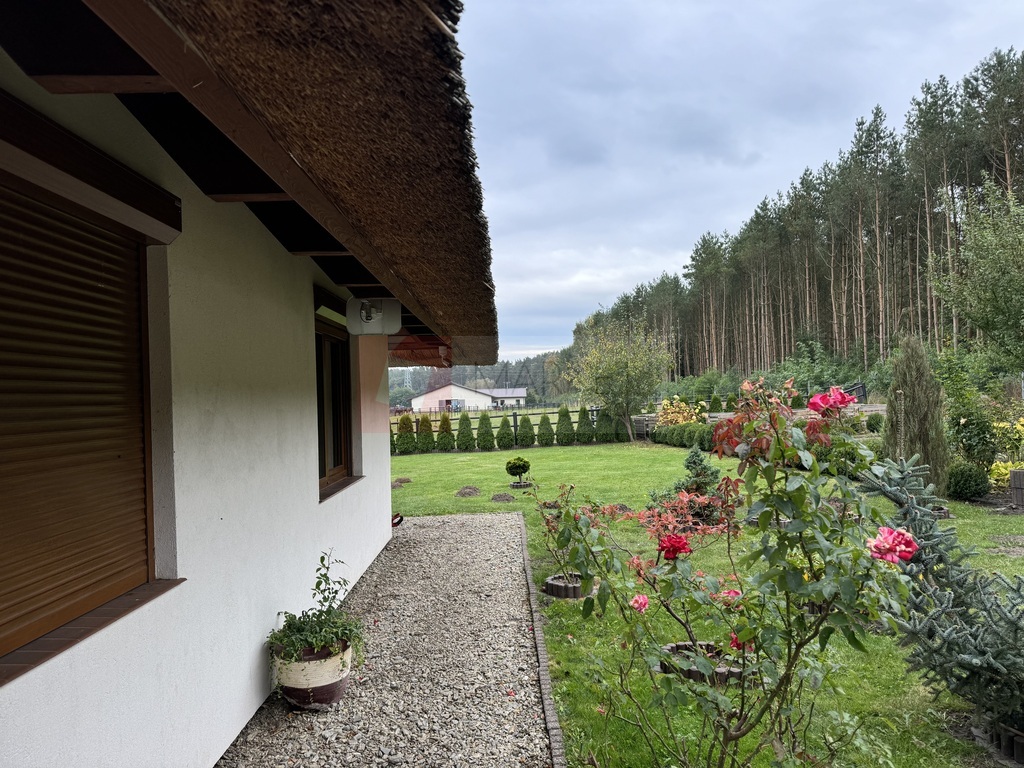 Dom i budynek gospodarczy - stadnina koni (21)