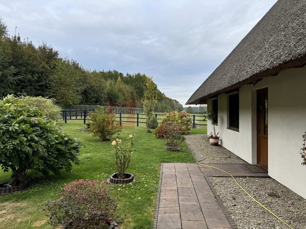 Dom i budynek gospodarczy - stadnina koni (22)