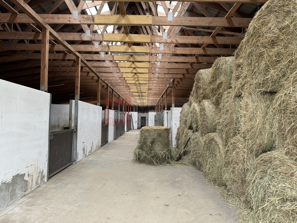 Dom i budynek gospodarczy - stadnina koni (29)