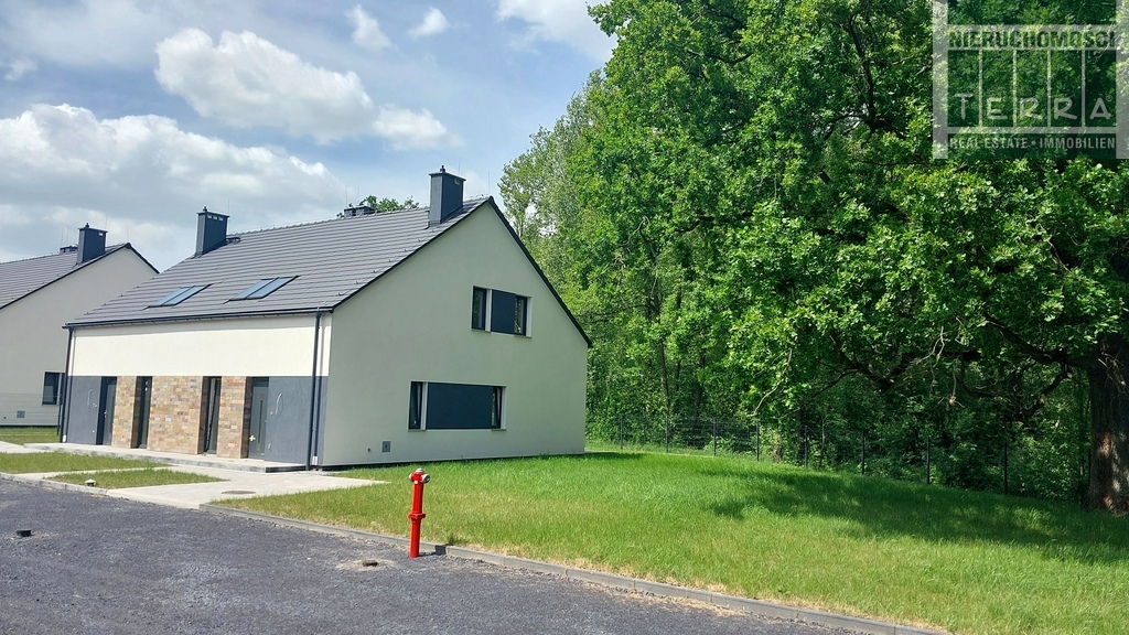 Bliźniak w stanie deweloperskim (23)