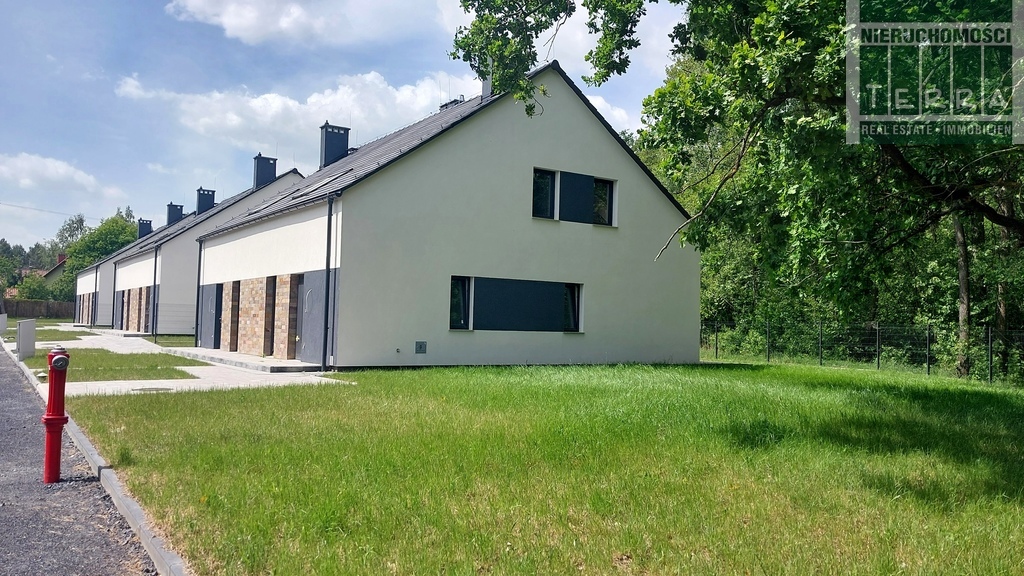 Bliźniak w stanie deweloperskim (2)