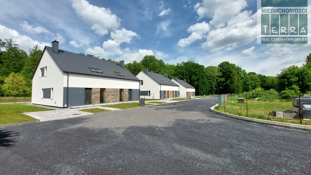 Bliźniak w stanie deweloperskim (18)