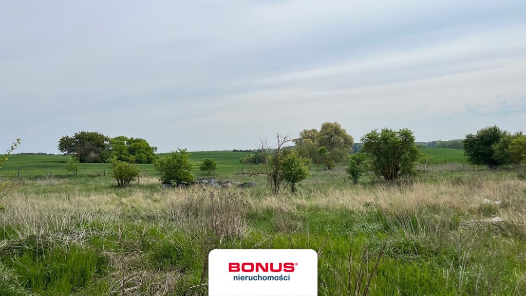 Sielska oaza spokoju tuż przy granicy 1,1ha (1)
