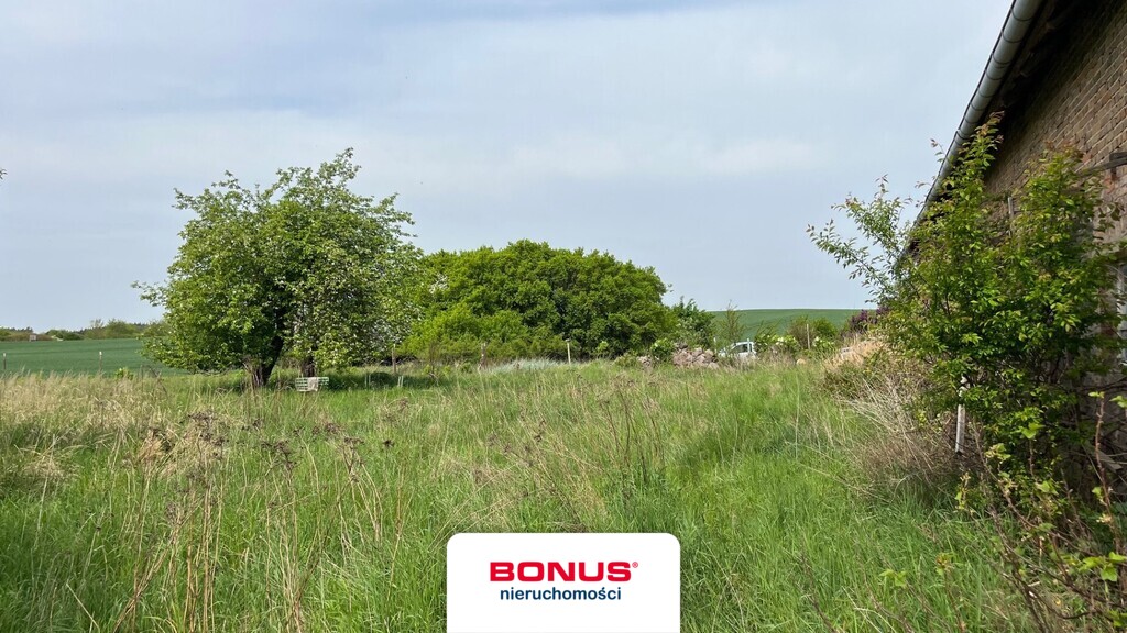 Sielska oaza spokoju tuż przy granicy 1,1ha (3)
