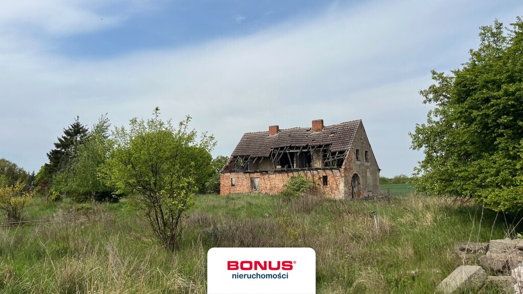 Sielska oaza spokoju tuż przy granicy 1,1ha (13)