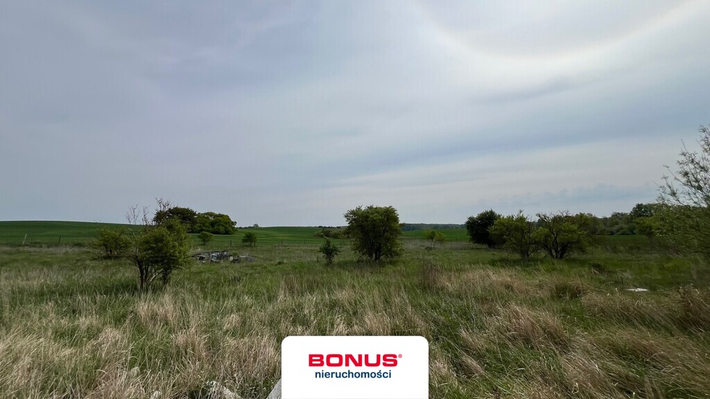 Sielska oaza spokoju tuż przy granicy 1,1ha (4)