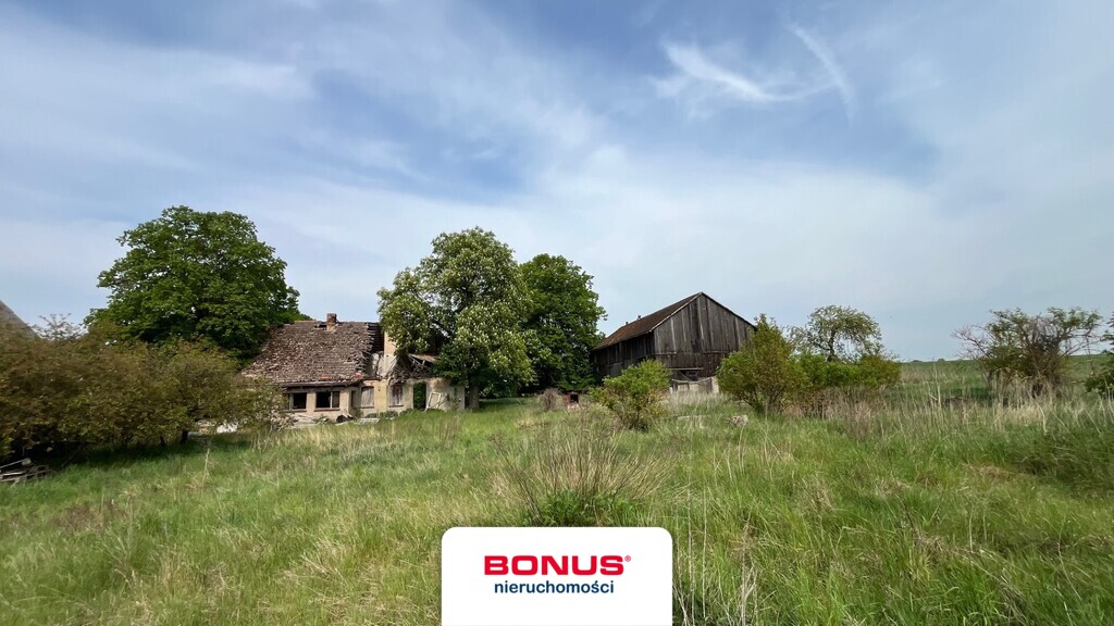 Sielska oaza spokoju tuż przy granicy 1,1ha (11)
