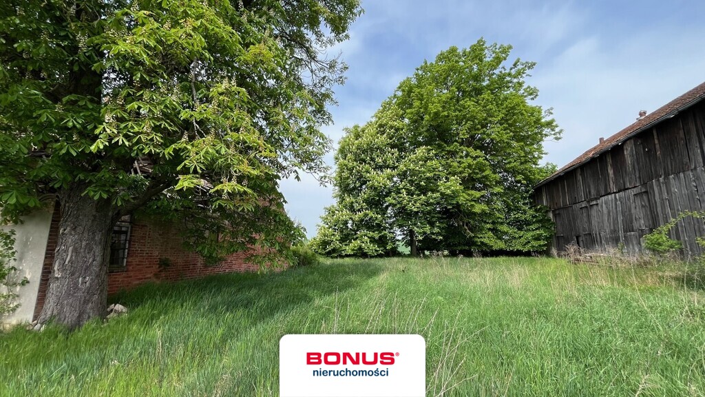 Sielska oaza spokoju tuż przy granicy 1,1ha (9)