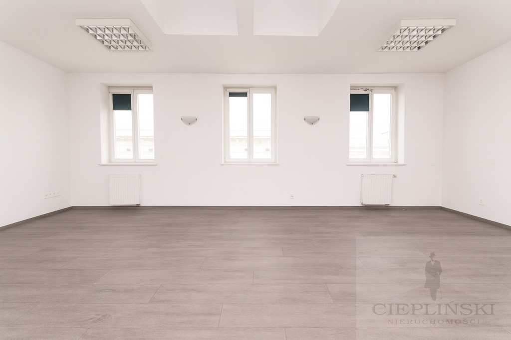 lokal biurowy przy Deptaku Bogusława (3)