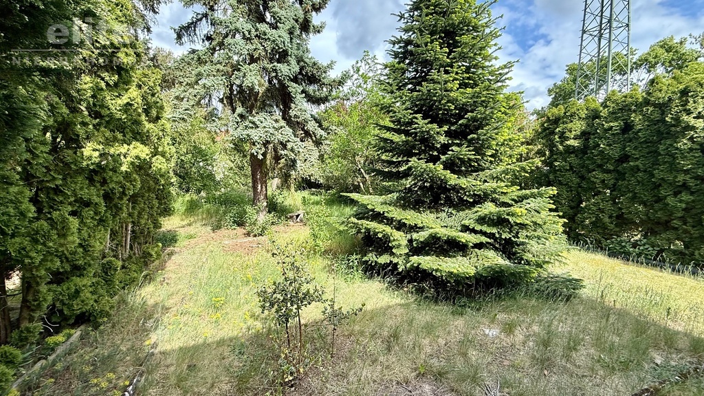 Pogodno Waryńskiego parter domu - willi 118,8m2 (14)