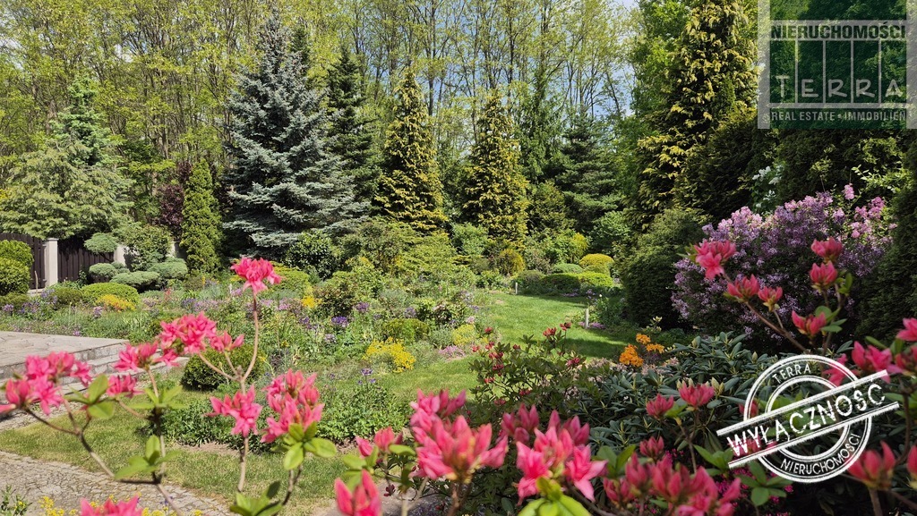 Najlepsza lokalizacja w mieście! (6)