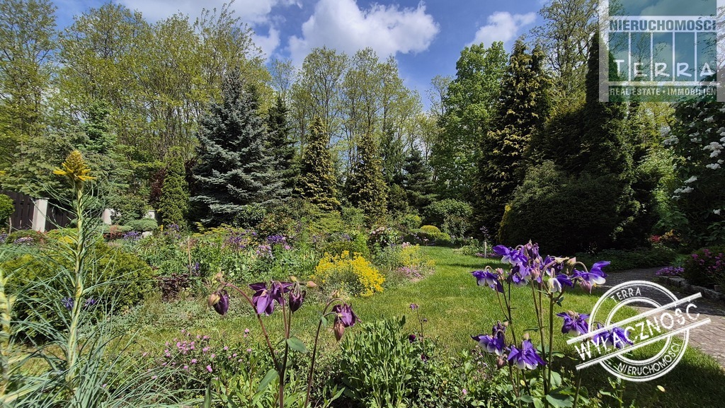 Najlepsza lokalizacja w mieście! (7)