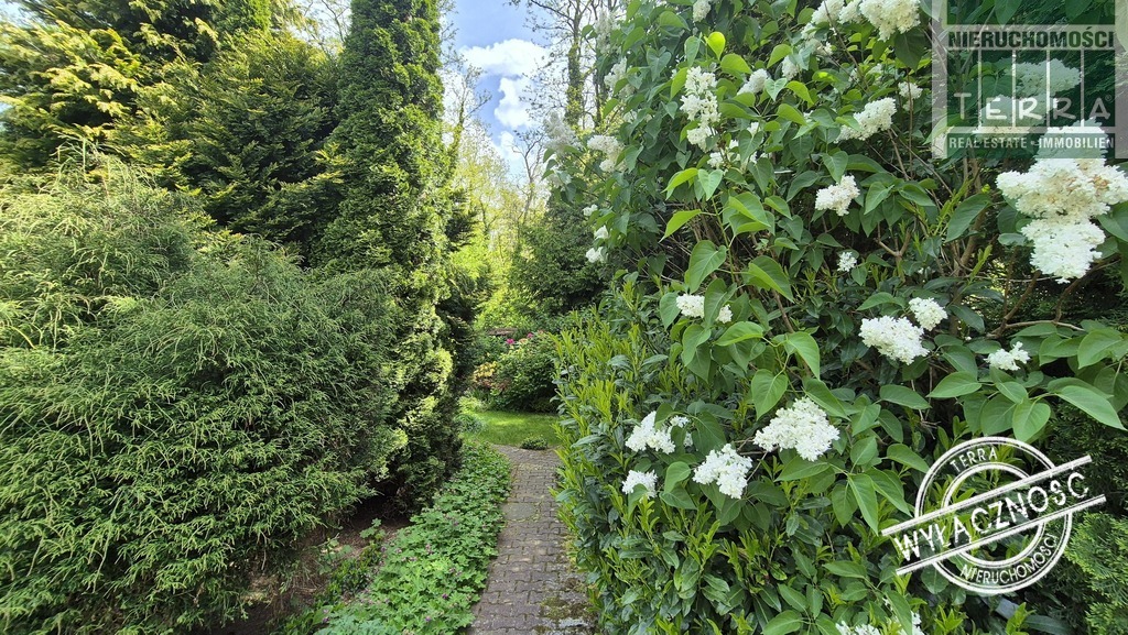 Najlepsza lokalizacja w mieście! (8)