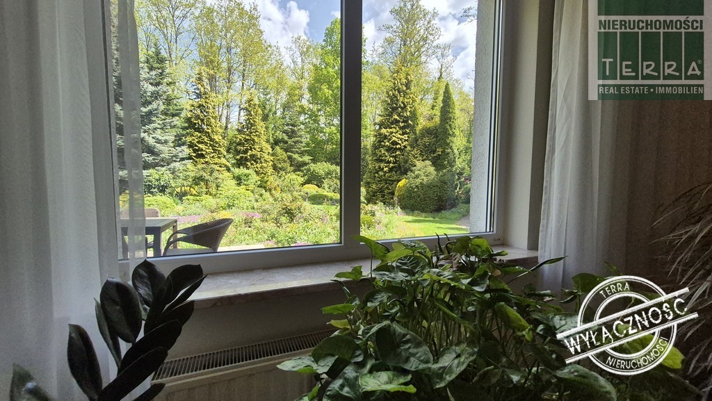 Najlepsza lokalizacja w mieście! (15)