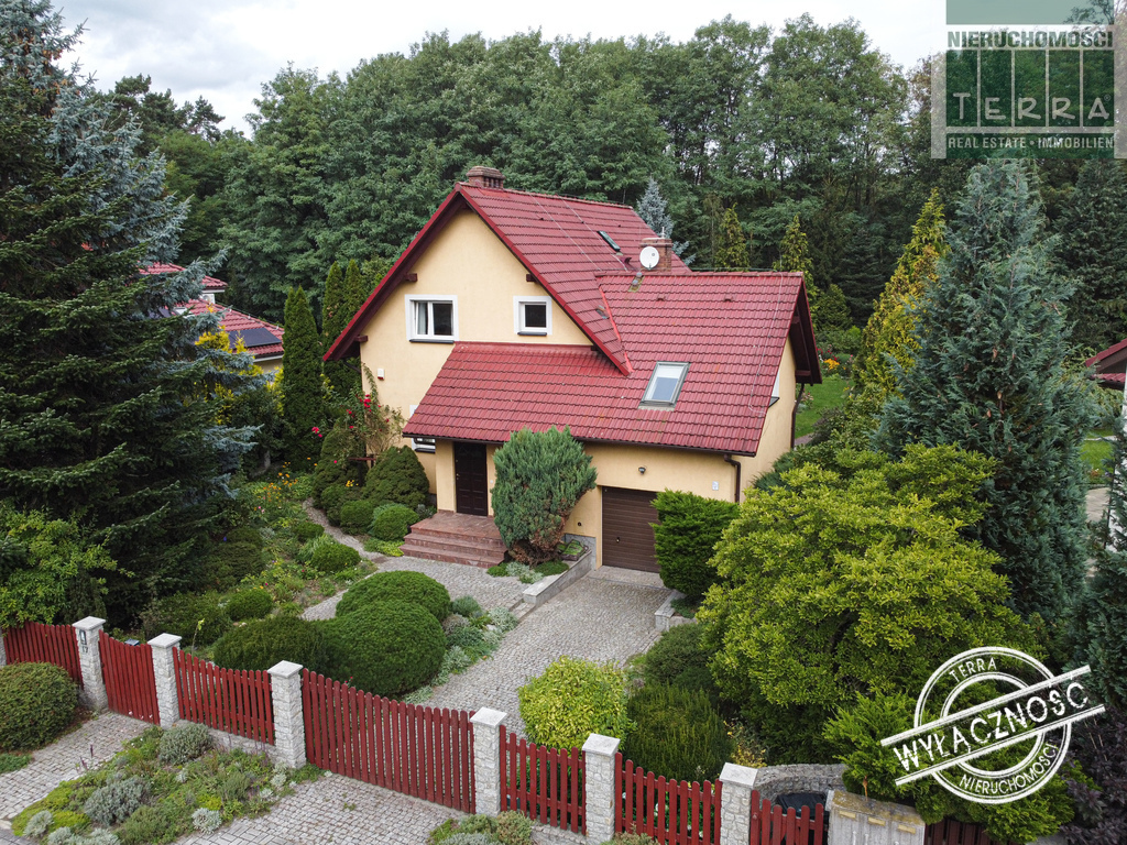 Najlepsza lokalizacja w mieście! (1)