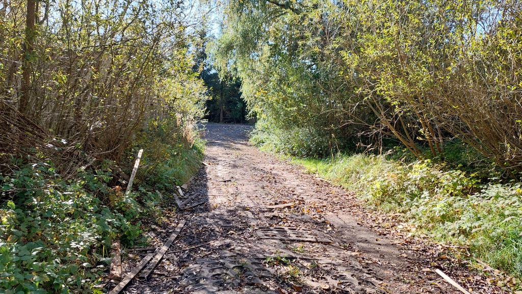 Działka  z halą magazynową (10)